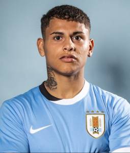 Anderson Luz